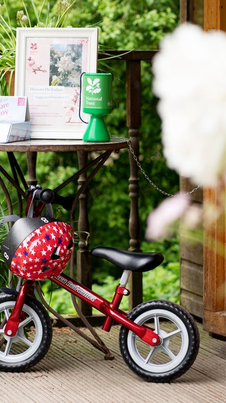 A bright red balance bike rests against a table at on the porch of the Welcome Hut at Rowallane Garden